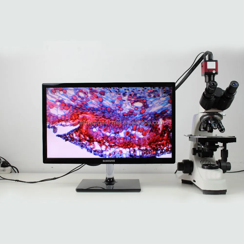 Newest Biological Trinocular Microscope/ Digital Microscope With