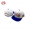 Factory Custom Different Types of 6 Panel Puff Embroidery Snapback Cap Flat Brim Caps Hats