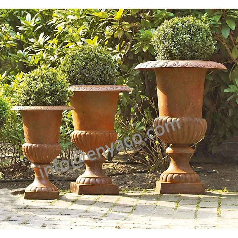C-P6-9_set.jpg