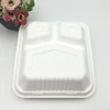 Biodegradable tableware,disposable sugarcane 3 compartment food container 9inch clamshell
