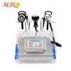 Au-46 Factory 5 in 1 Multifunctional Fat Reduction Weight Loss Slimming Equipment/Microcurrent Device