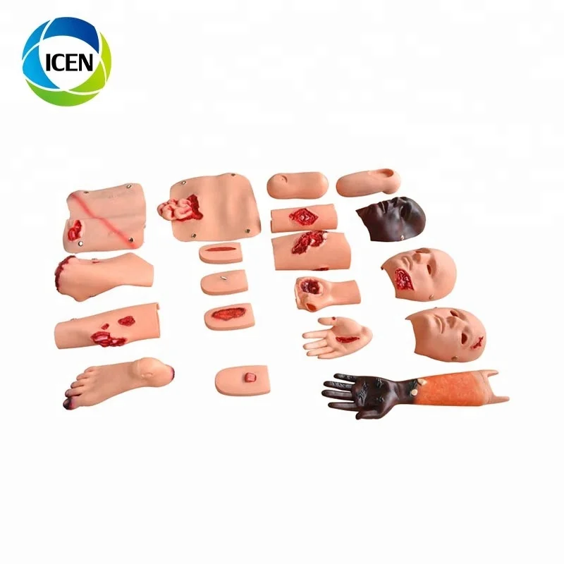 infant obstruction model