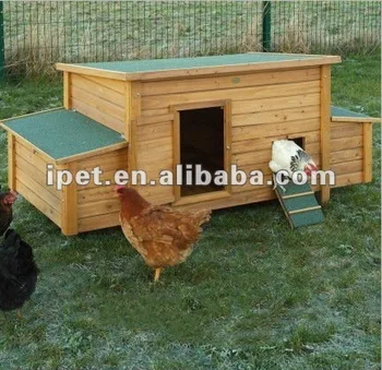 Chicken Coop Door Size What Roost Should Be Used For Your Chickens