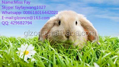 NAME CARD