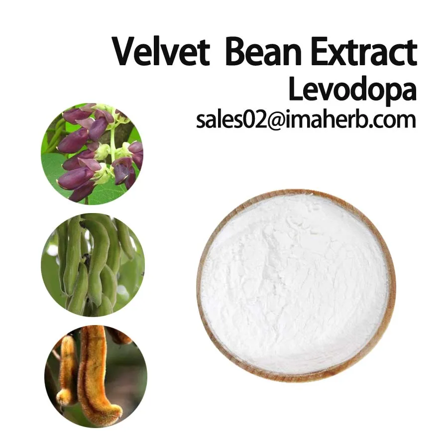 Top Grade Ep Standard Velvet Bean/buffalo Bean Extract /mucuna Pruriens