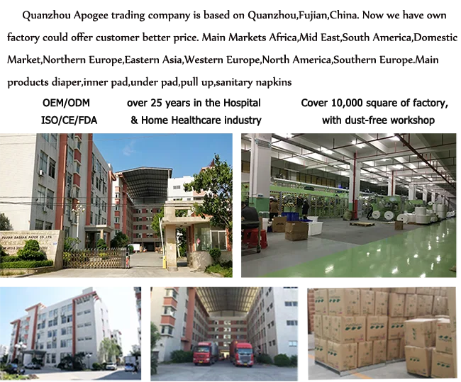 1Adult Diaper factory .png
