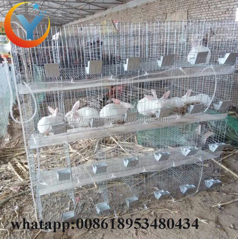 Galvanized Rabbit Cage Design And Cheap Commercial / Industrial Rabbit