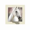 New design 3D 5D effect lenticular pictures of horse animal picture