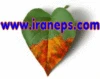 the first web site for expandable polyatyrene in iran