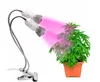 Wholesale 10W Dual Heads LED Plant Grow Lights for Small Plants with Desk Clip Indoor Using for Green House