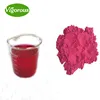 Best quality beetroot/beetroot extract/beetroot sugar