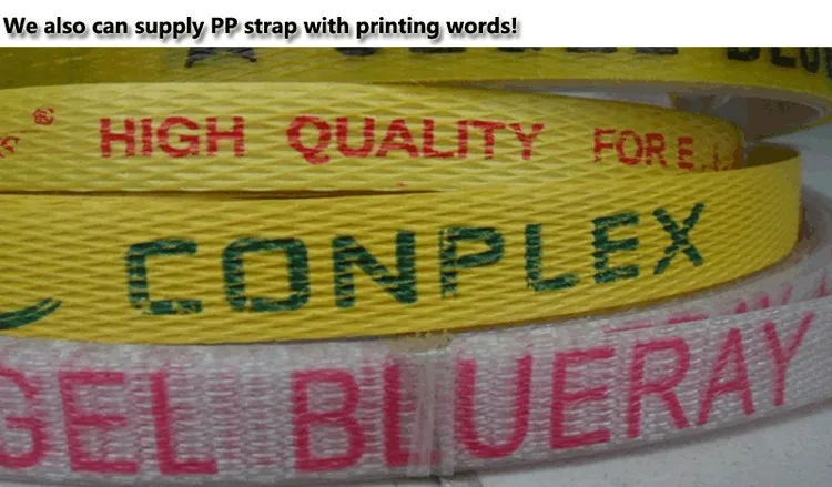 PP belt strap (13).jpg
