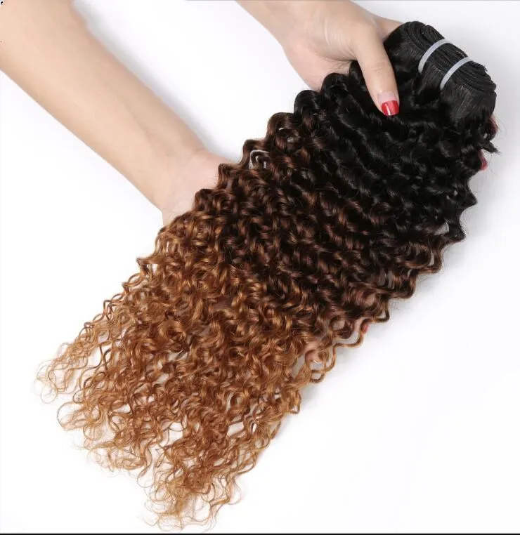 ombre brazilian hair bundles