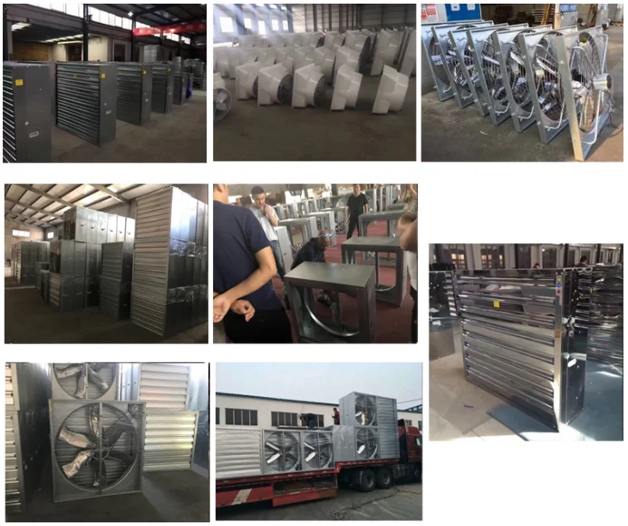 Industrial Ventilation 50 Inch Exhaust Fans and Poultry House Ventilation Fan
