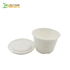 Hot Sale 100% Biodegradable Sugarcane Bagasse 4 oz Portion Cups With Lids Disposable