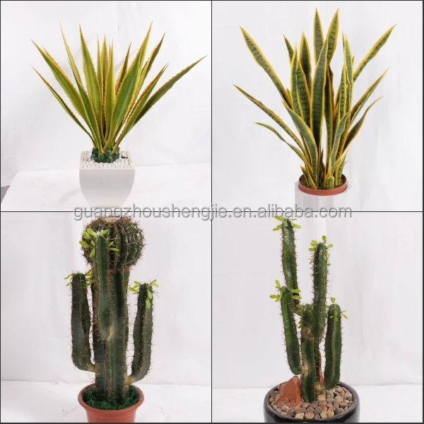 Sjh1410409 Indoor Ornamental Plants Make Artificial Plants