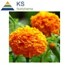 Natural Lutein & Zeaxanthin powder from Marigold Extract for eye issues