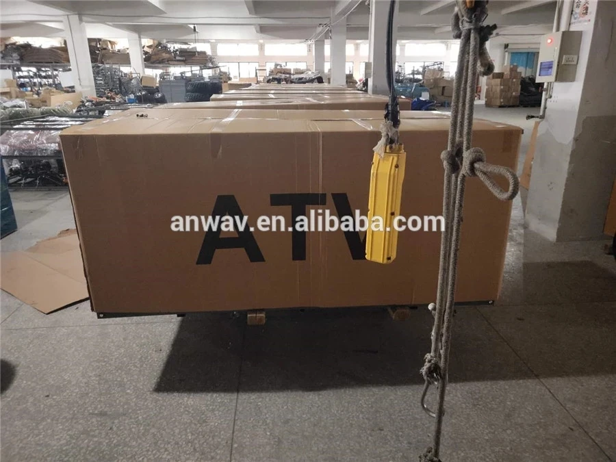 Hot Sale 150cc/200cc/250cc Adults Gasoline Quad Bike ATV