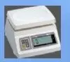 SW CAS Model Scale