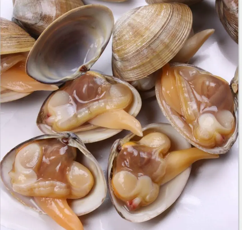 所有行业  食品和饮料  海鲜 贝类海鲜  产品名称 冻黄色蛤蜊