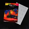 /product-detail/factory-sell-directly-a4-rc-satin-glossy-photo-paper-60106435555.html