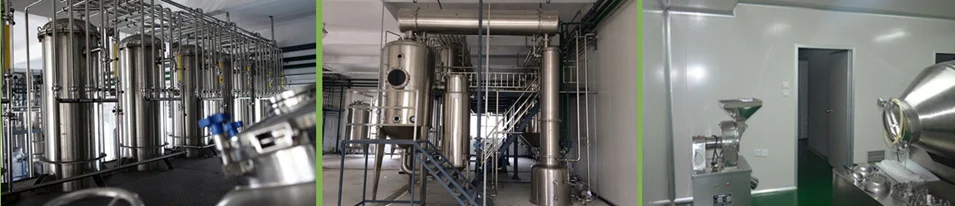 Panax Red Ginseng Extract Liquid Drink Buy Red Ginseng