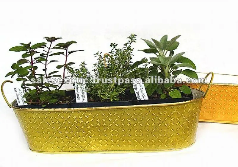 Windowsill Herb Planter Kit Long Seed Planters Buy Herb Growing