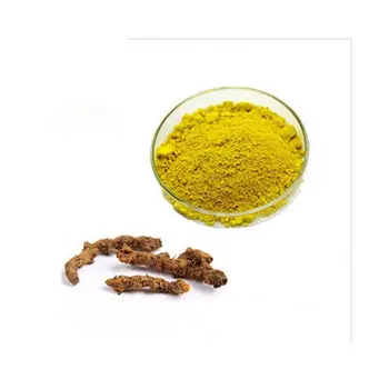 high purity golden seal rhizoma coptidis coptis chinensis