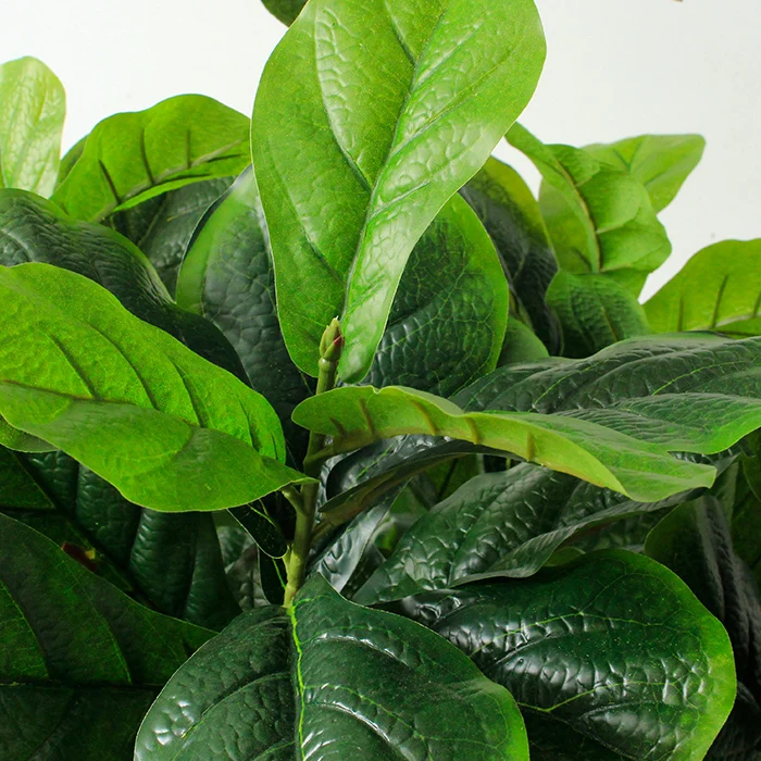 evergreen plants small artificial bonsai tree fiddle leaf