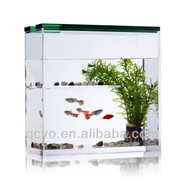 vertical fish tanks