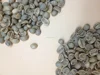 Robusta Green Coffee Beans with Fairtrade Certification