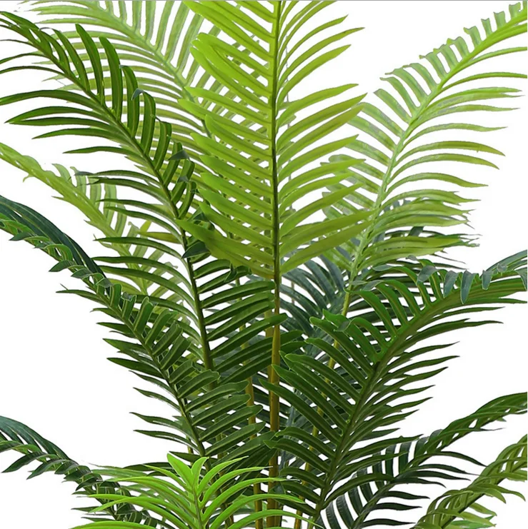 Bonsai Mini Pohon Palem Plastik Faux Pohon Palem Buy Bonsai Mini Pohon Palem Plastik Faux Pohon Palem Buy