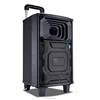 8 inch woofer MDF wood trolley active stage speaker with USB/SD/FM/BT/REC/FM Radio/Wireless Microphone