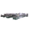 Industrial belt type microwave drying equipment for flat peach