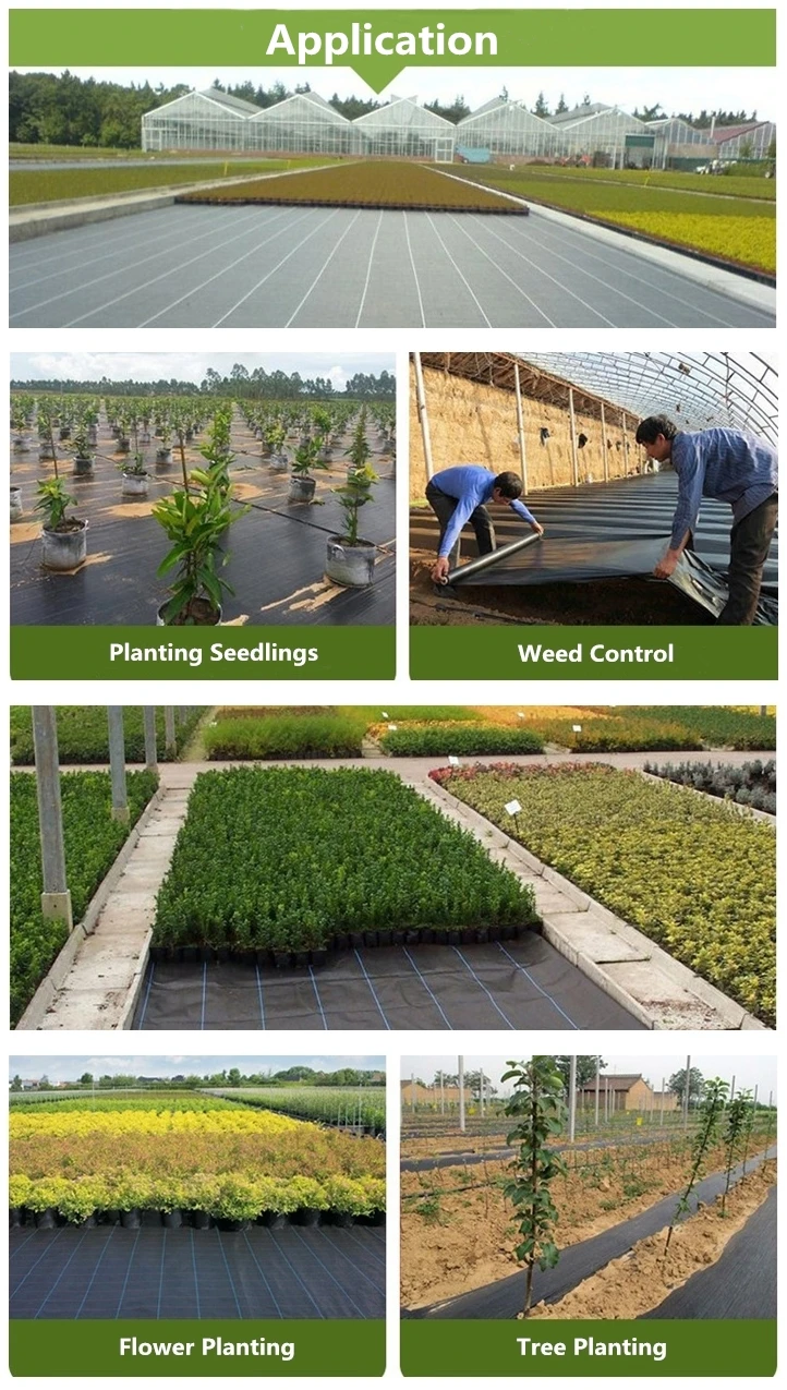 Wholesale Ground Cover Net / Weed Mesh Anti Uv Pp Woven For Prevent