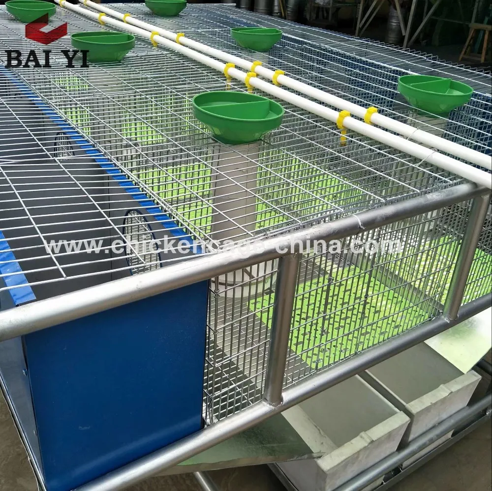 Easy Clean Rabbit Cage In Kenya Farm With Plastic Rabbit Cage Trays