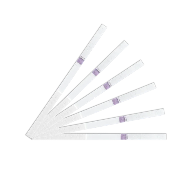 HP 2