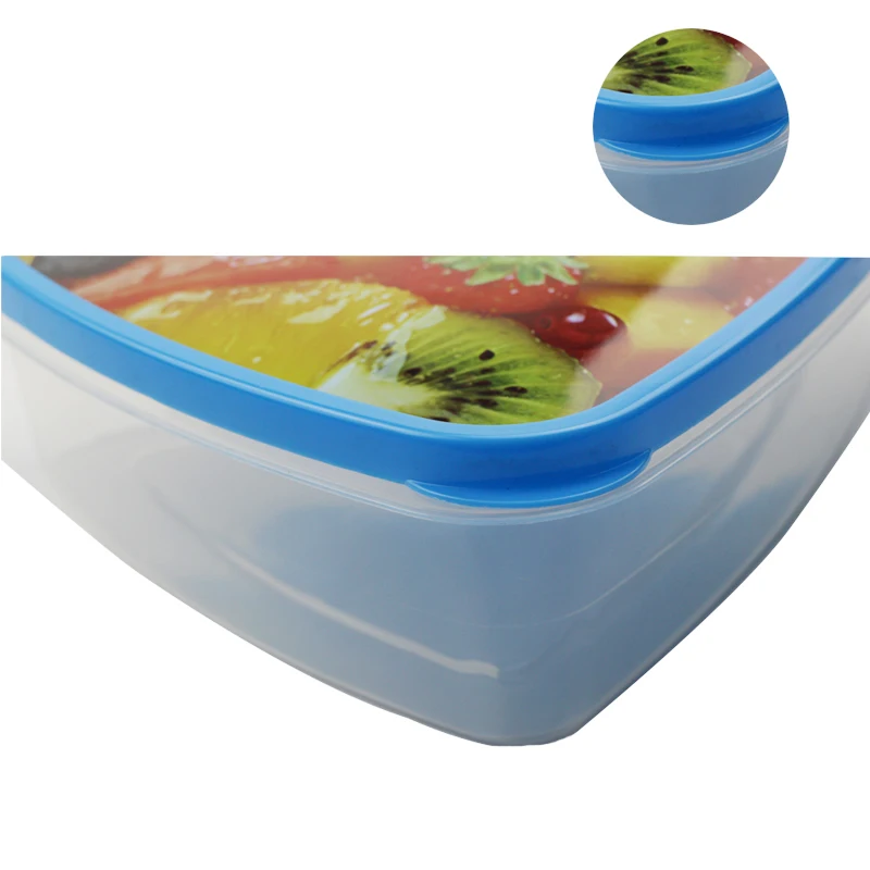 Triangle Shape Plastic Food Container Triangle Sandwich Box Buy