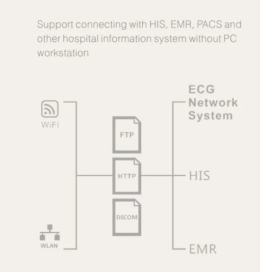 Portable 12 Channel ECG machines mac compatible