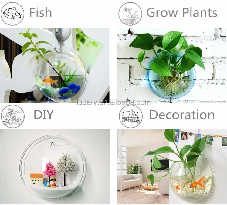 Oval Shape Acrylic Fish Tank/plexiglass Aquarium Stand/pmma Fish Bowl