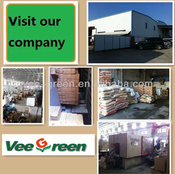 IMG_20130119_112923_