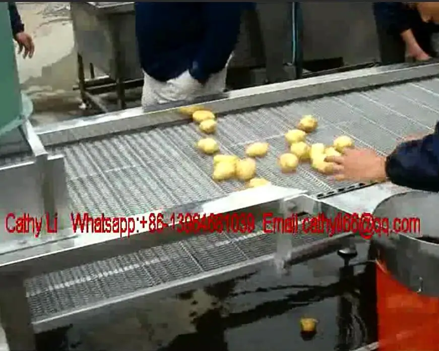 potato washing machine.jpg