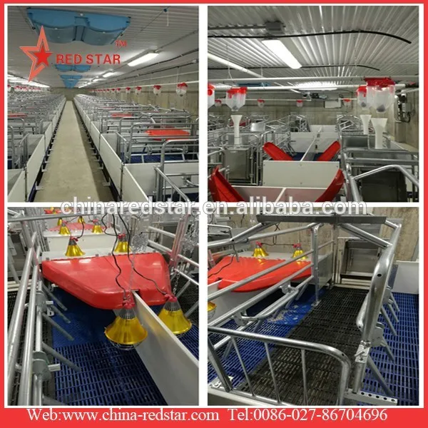 High Quality Heat Lamp Protector Infrared Infrared Buy Heat Lamp