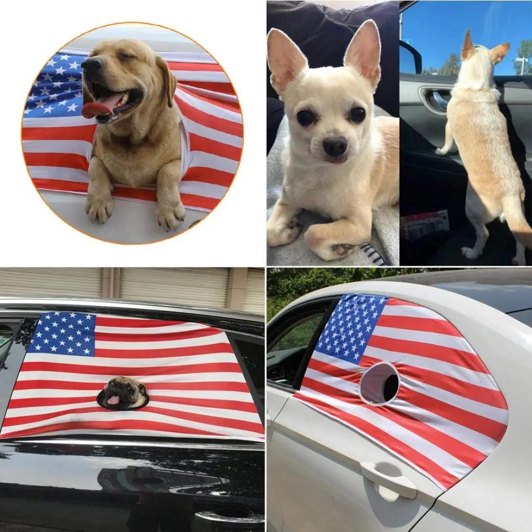 car window grates for dogs