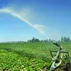 linear farmland farm irrigation systems