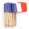 Hot selling custom printing party cocktail toothpick flags for food decoration