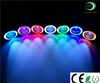 Best popular on car yellow led fog eagle angle eye hid lights