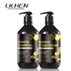 Treat dry scalp no chemical good quality hair regrow shampoo and conditioner for men women