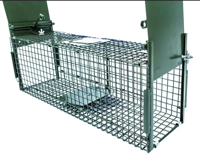 Animal Cage Trap Iguana Cages Traps Racoon Traps Buy Cage,Cheap Rabbit Cages,Rabbit Cage
