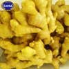 China directly sale fresh raw ginger roots by Chinese supplier